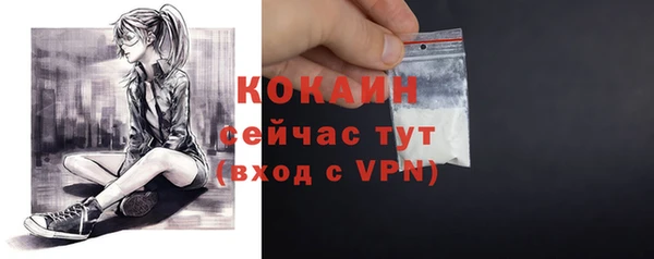 ГАЛЛЮЦИНОГЕННЫЕ ГРИБЫ Белокуриха