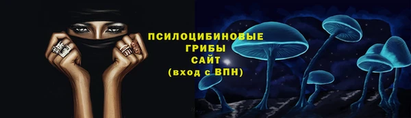 apvp Беломорск