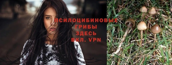spice Белоозёрский
